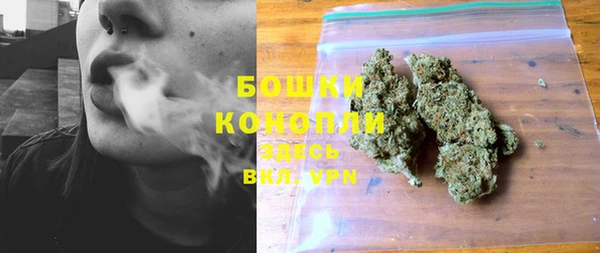 стафф Тихвин