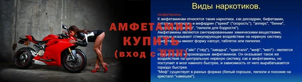 стаф Вязьма