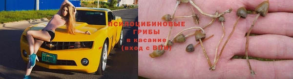 марихуана Володарск
