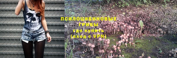 гашиш Вяземский