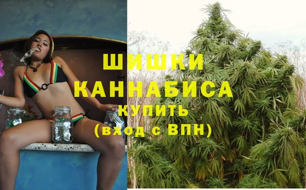 стаф Вязьма