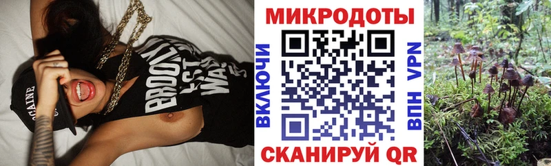 MEGA ТОР  Ирбит  Псилоцибиновые грибы мухоморы 
